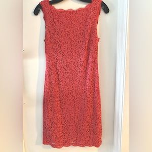 Adrianna Pappel gorgeous fitted lace dress